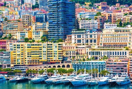 A monacói hercegi család története